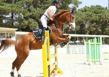 فدراسیون سوارکاری, انتخابات ورزشی, وزارت ورزش و جوانان, مدیریت ورزشی, اخبار سوارکاری