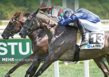 اسب‌دوانی ایران, کورس فرانسه, مسابقات گروه ۳, افتخارات ورزشی ایران, اسب‌های سه‌ساله