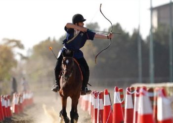 فدراسیون سوارکاری, انتخابات سوارکاری, وزارت ورزش و جوانان, مدیریت ورزشی, مجمع انتخاباتی